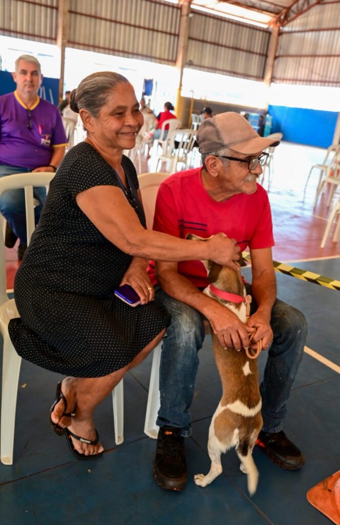 Caravana da Castração leva atendimento gratuito a animais vulneráveis em MS