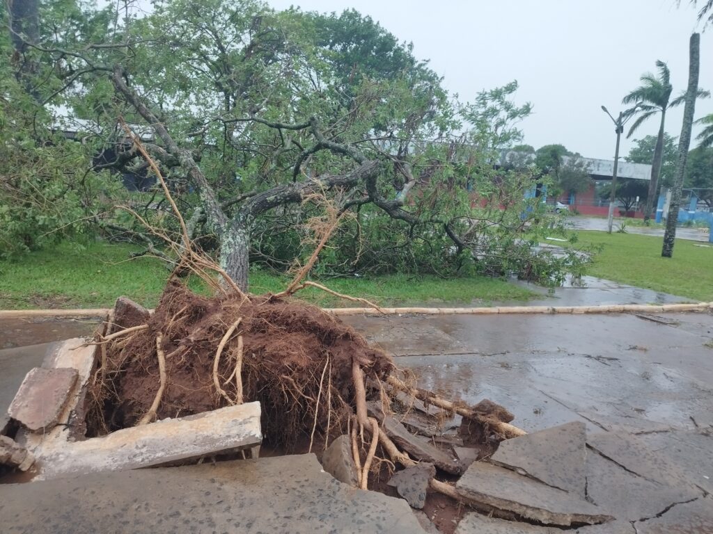 Novo temporal atinge Amambai na manhã desta quarta-feira