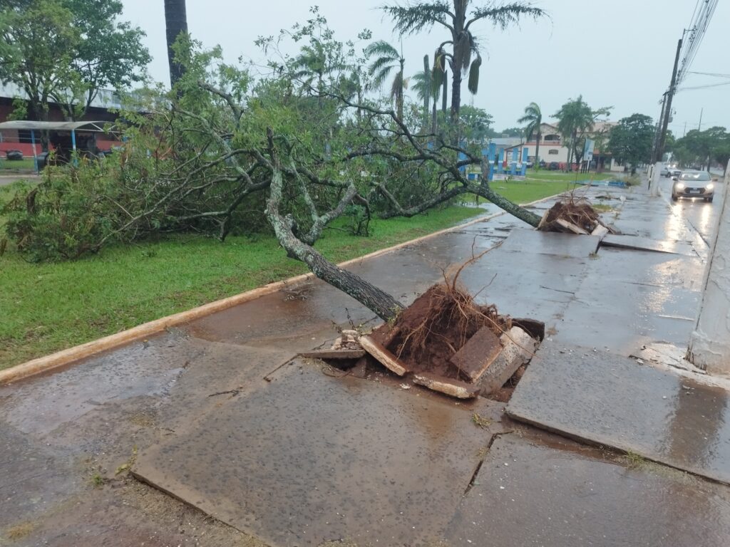 Novo temporal atinge Amambai na manhã desta quarta-feira
