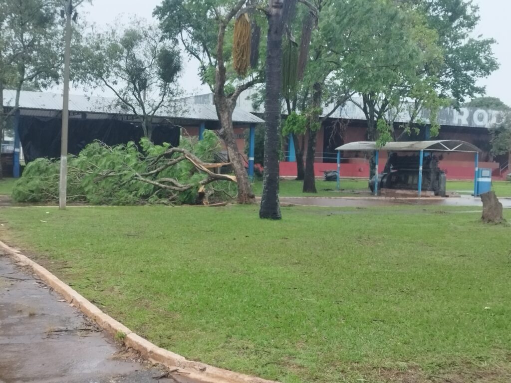 Novo temporal atinge Amambai na manhã desta quarta-feira