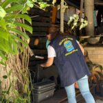 Amambai: Prefeitura intensifica ação de combate à dengue em regiões com alto índice de infestação