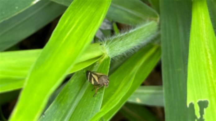 c76385ae7ea2476d914164b3657b0080_858x483