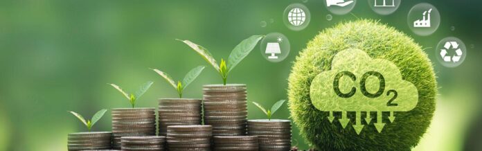 imagem-70-min-rfa0uqd11bhlpt53wygimshtivceg62oj6e9xodkz4