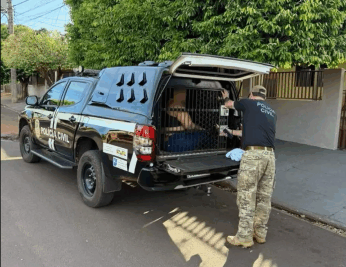 imagem_2025-11-11_095508755