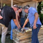 A Prefeitura de Paranhos segue avançando com responsabilidade e compromisso com o desenvolvimento sustentável