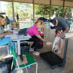 União que Protege Vidas: Prefeita Niágara e vereadores Lideram a Primeira Caravana da Castração em Coronel Sapucaia