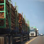 Desenvolvimento e logística no Vale da Celulose: nova ferrovia em MS projeta segurança, economia e integração