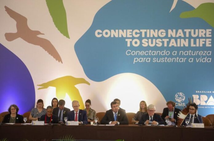 COP15-Segmento-de-Alto-nivel-Foto-Alvaro-Rezende-06-730x480