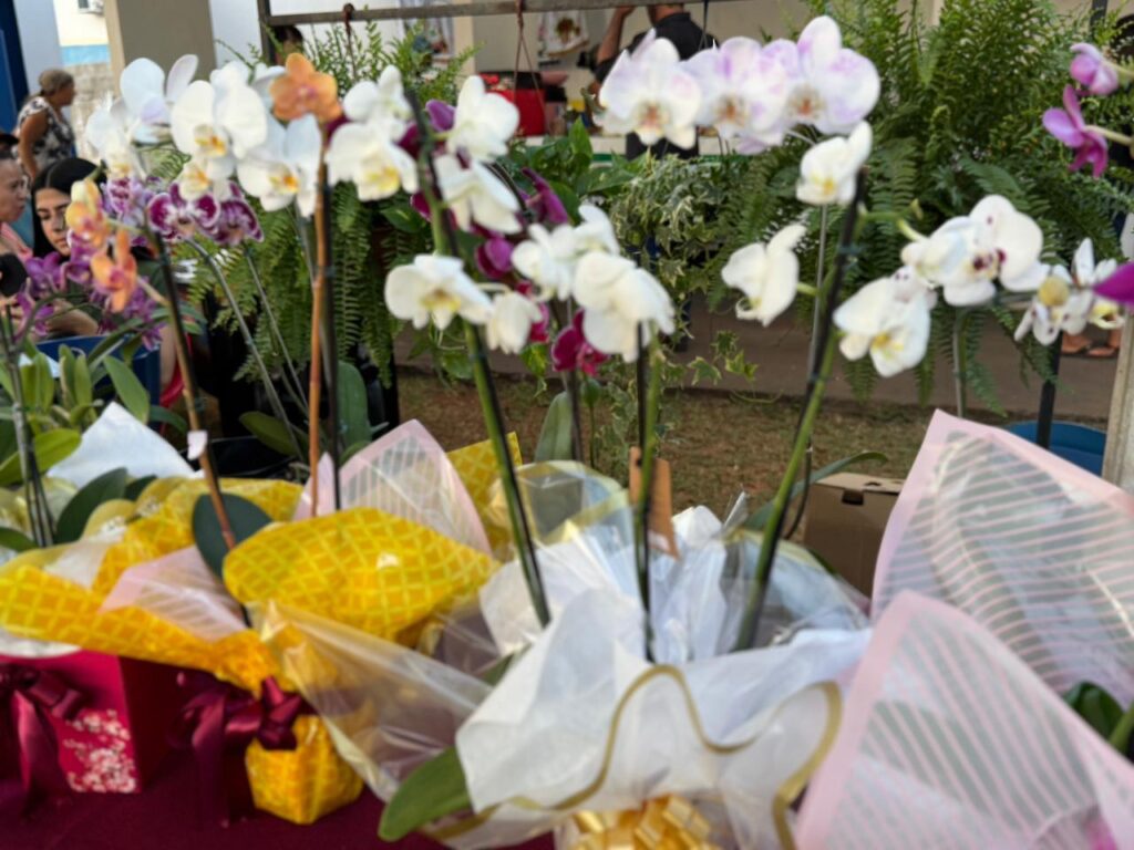 Feira reúne produtores rurais e empreendedores em Tacuru