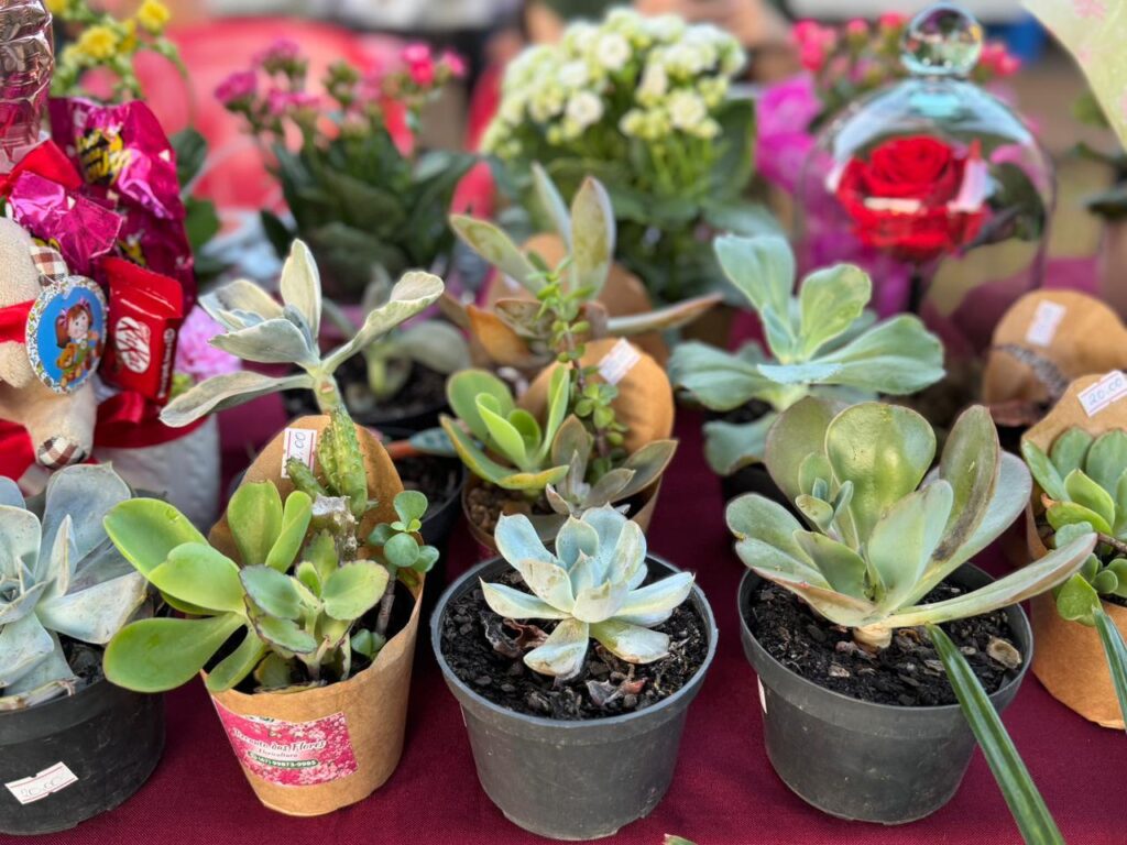 Feira reúne produtores rurais e empreendedores em Tacuru