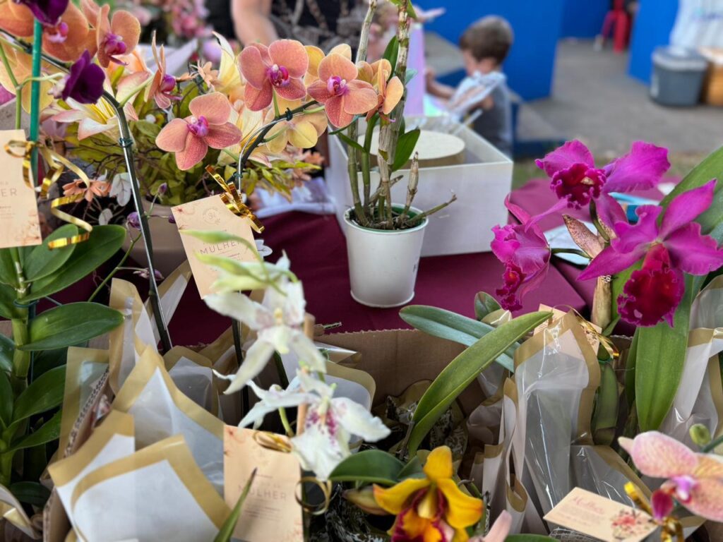 Feira reúne produtores rurais e empreendedores em Tacuru