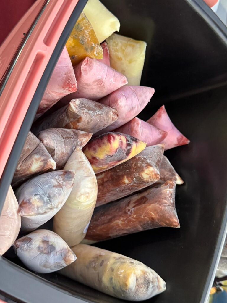 Feira reúne produtores rurais e empreendedores em Tacuru