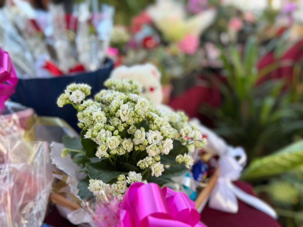 Feira reúne produtores rurais e empreendedores em Tacuru