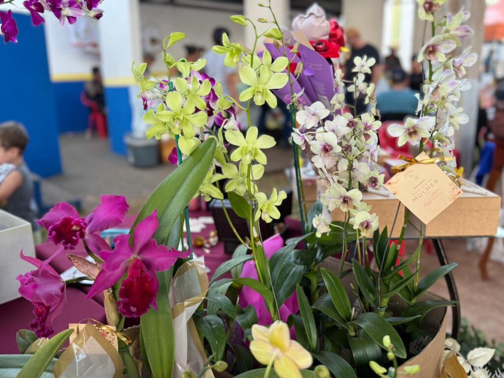 Feira reúne produtores rurais e empreendedores em Tacuru