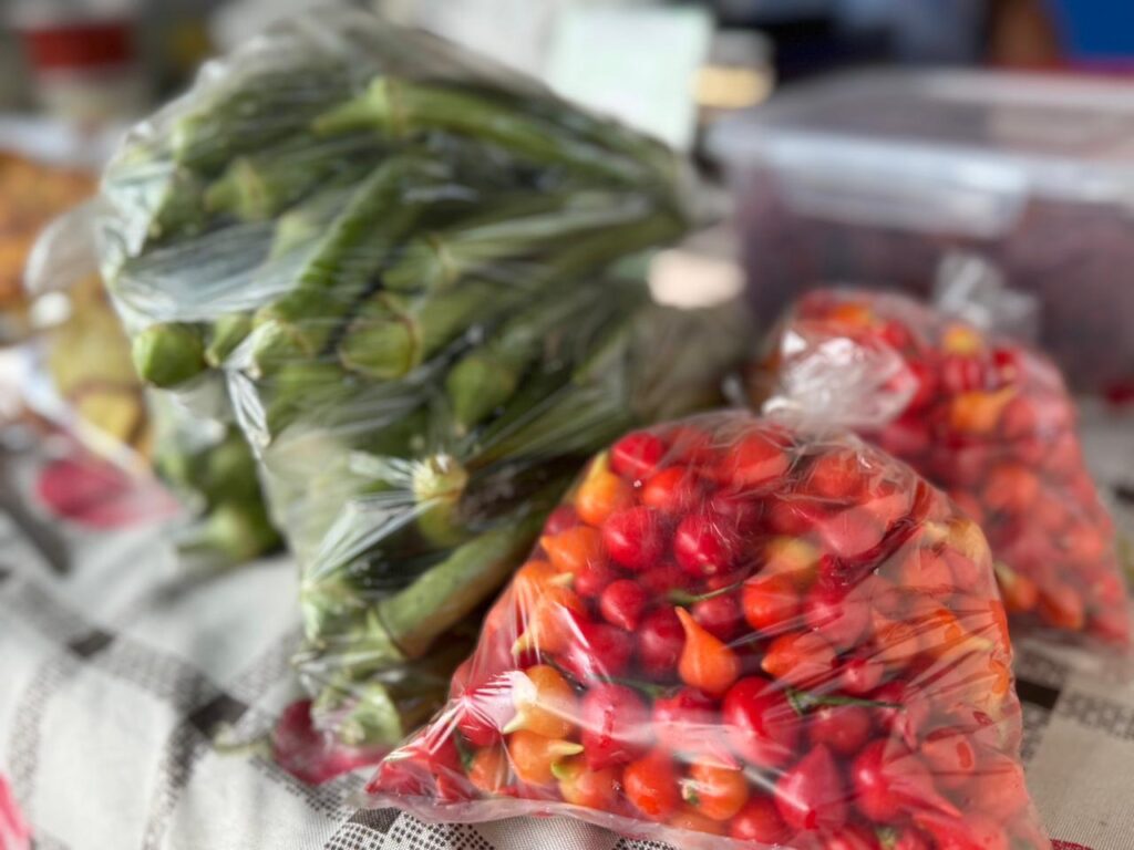 Feira reúne produtores rurais e empreendedores em Tacuru