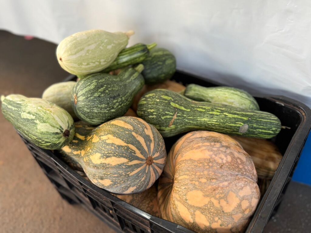 Feira reúne produtores rurais e empreendedores em Tacuru