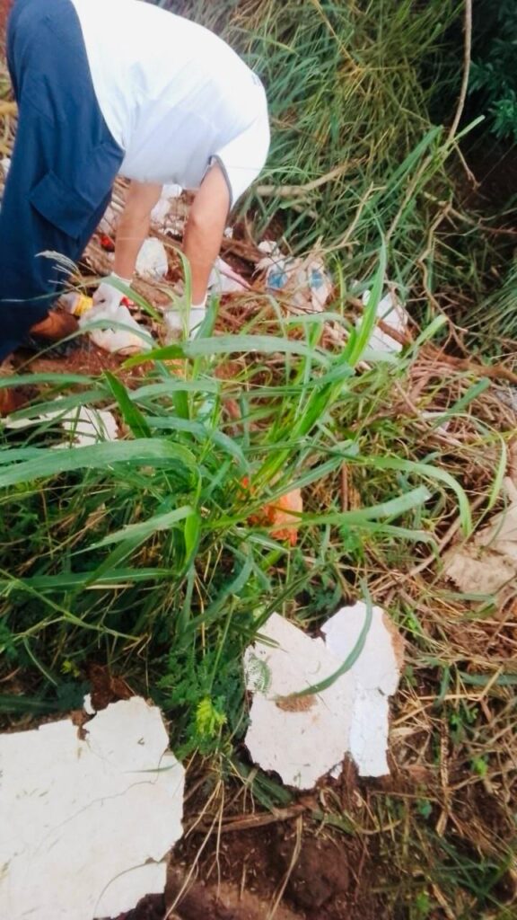 Aumento de casos de dengue e chikungunya acende alerta em Amambai