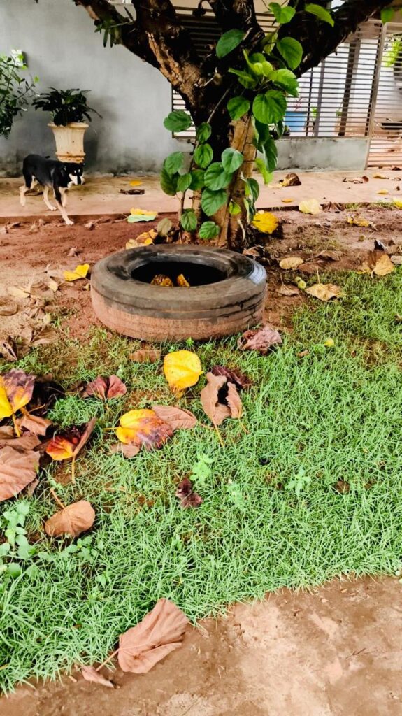 Aumento de casos de dengue e chikungunya acende alerta em Amambai