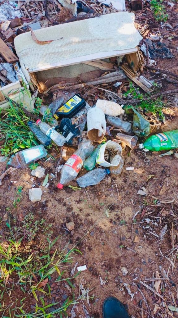 Aumento de casos de dengue e chikungunya acende alerta em Amambai