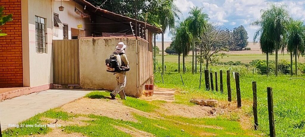 Aumento de casos de dengue e chikungunya acende alerta em Amambai