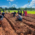 Amambai: Oficina de horta promoveu sustentabilidade e aprendizado na Escola Municipal Mitã Rory Amambai: Oficina de horta promoveu sustentabilidade e aprendizado na Escola Municipal Mitã Rory