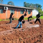 Amambai: Oficina de horta promoveu sustentabilidade e aprendizado na Escola Municipal Mitã Rory Amambai: Oficina de horta promoveu sustentabilidade e aprendizado na Escola Municipal Mitã Rory