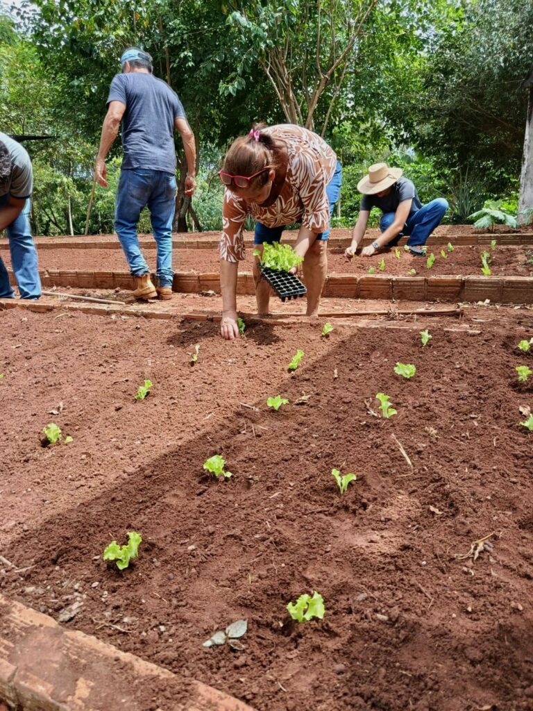 Tacuru: Ação de fortalecimento na Horta Municipal é realizada em parceria com a Itaipu Binacional Tacuru: Ação de fortalecimento na Horta Municipal é realizada em parceria com a Itaipu Binacional