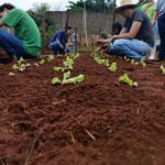 Projeto Itaipu Parquetec realiza oficina de hortas em Sete Quedas (MS)