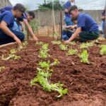 Projeto Itaipu Parquetec realiza oficina de hortas em Sete Quedas (MS)