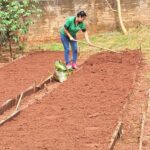 Projeto Itaipu Parquetec realiza oficina de hortas em Sete Quedas (MS)