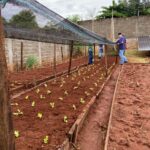 Projeto Itaipu Parquetec realiza oficina de hortas em Sete Quedas (MS)