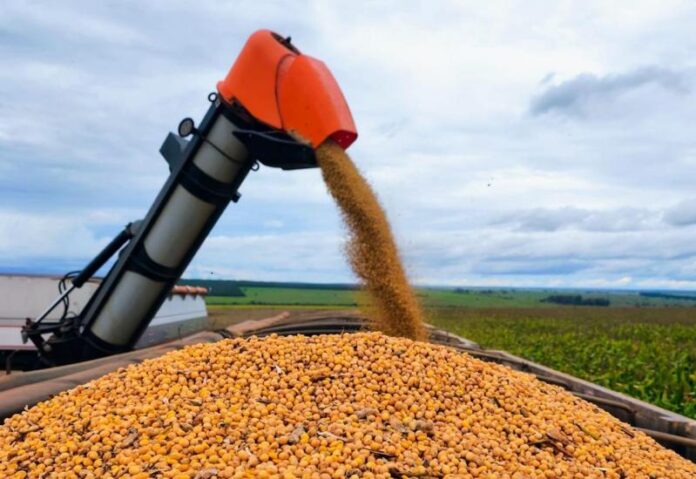 WhatsApp Image 2026-03-25 at 08.33.17_0