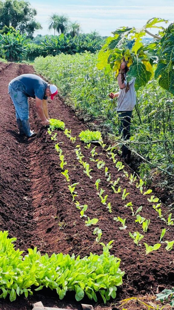 Alunos da Escola Municipal Mitã Rory participam de visita educativa em horta