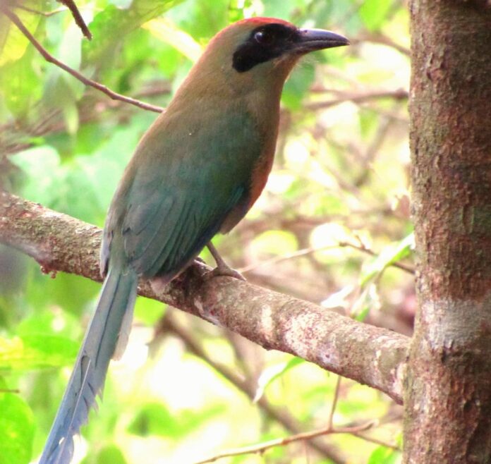 WhatsApp Image 2026-03-26 at 16.53.52