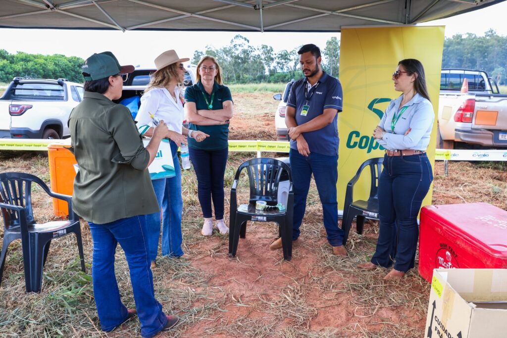 Dia de Campo do Amendoim reúne produtores rurais em Eldorado