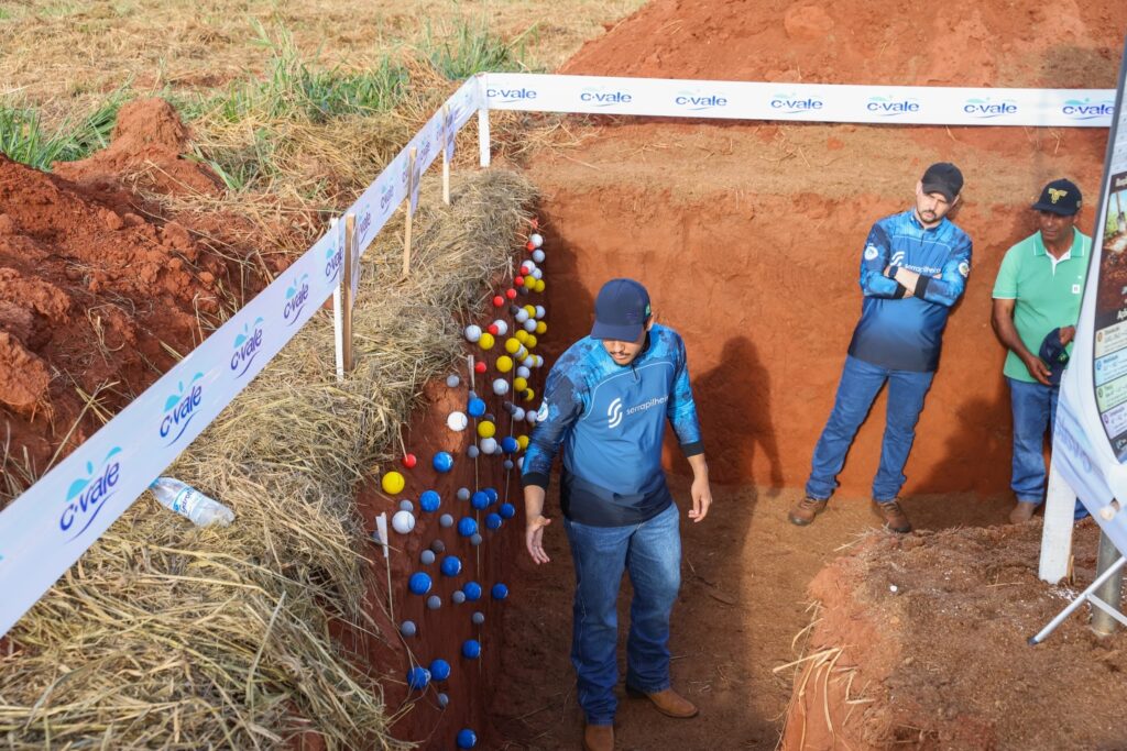 Dia de Campo do Amendoim reúne produtores rurais em Eldorado