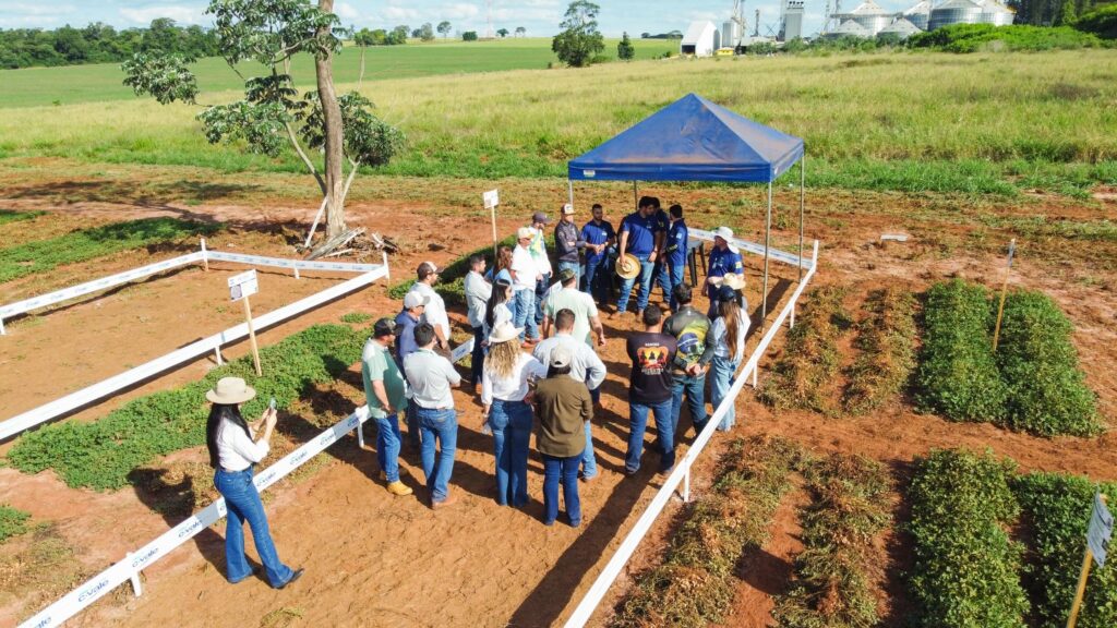 Dia de Campo do Amendoim reúne produtores rurais em Eldorado