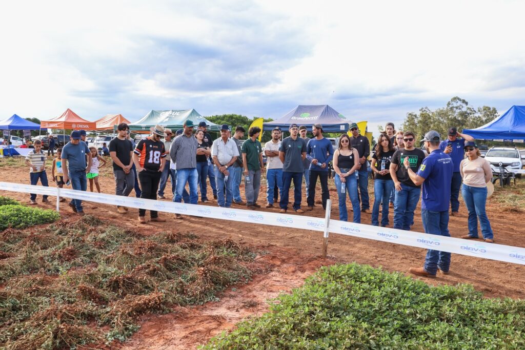 Dia de Campo do Amendoim reúne produtores rurais em Eldorado