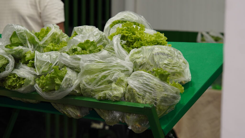 Prefeitura de Juti inaugura Feira do Produtor e entrega trator agrícola para fortalecimento da agricultura familiar Prefeitura de Juti inaugura Feira do Produtor e entrega trator agrícola para fortalecimento da agricultura familiar