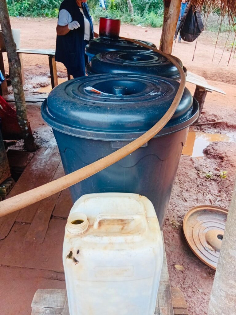 Ação conjunta mobiliza comunidade indígena no combate à dengue em Amambai