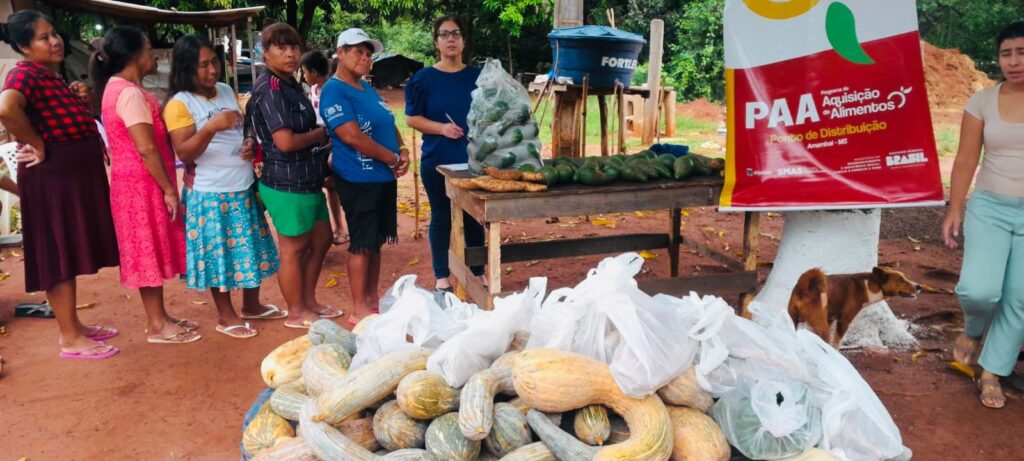 Programa de Aquisição de Alimentos beneficia famílias indígenas em Amambai