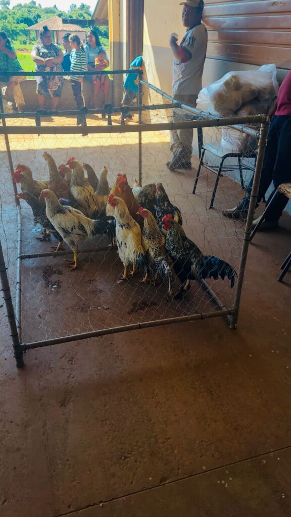 Programa de Aquisição de Alimentos beneficia famílias indígenas em Amambai