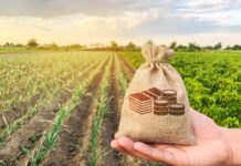 Crédito rural empresarial soma R$ 404 bilhões no Plano Safra 2025/2026