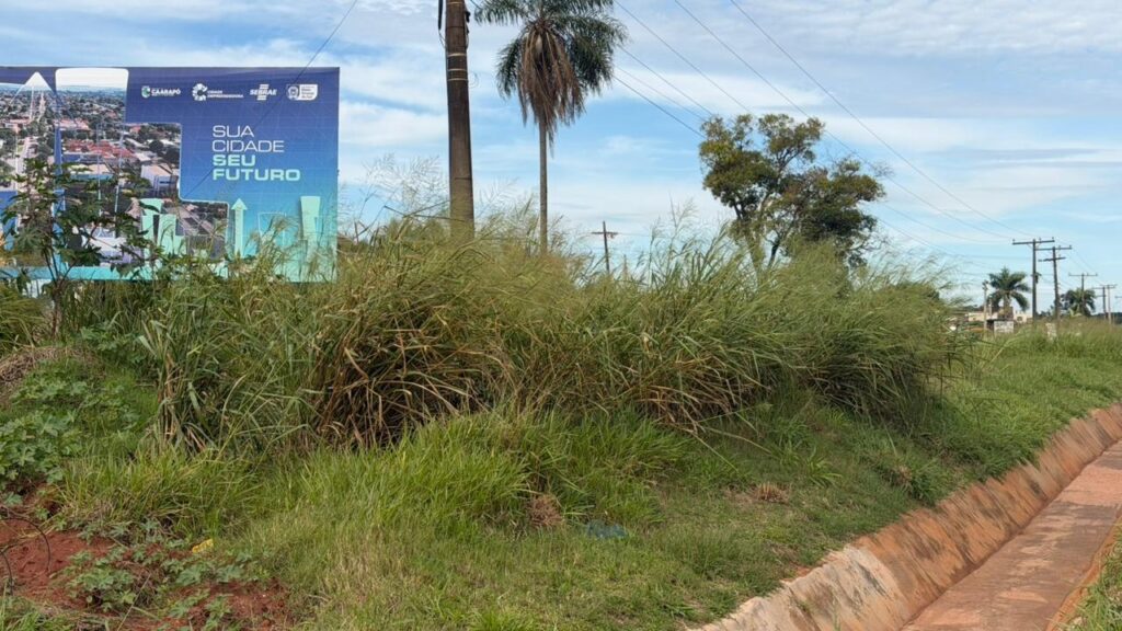Após reclamações, Nado Tozzi fiscaliza acesso ao Polo Industrial e cobra providências em Caarapó Após reclamações, Nado Tozzi fiscaliza acesso ao Polo Industrial e cobra providências em Caarapó