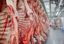 Exportação de carne exige cautela jurídica