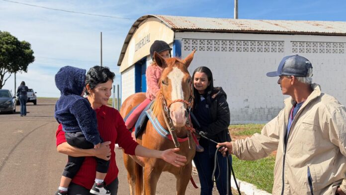 navirai-inicia-avaliacoes-para-implantacao-do-projeto-de-equoterapia