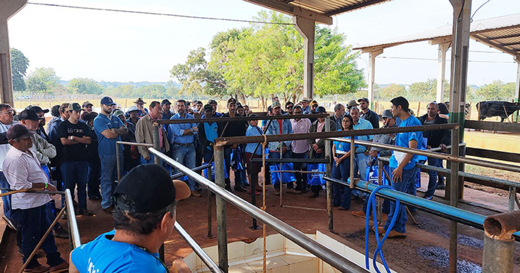 Campo Grande: II Dia de Campo do Leite será realizado nesta sexta no Cepaer Campo Grande: II Dia de Campo do Leite será realizado nesta sexta no Cepaer