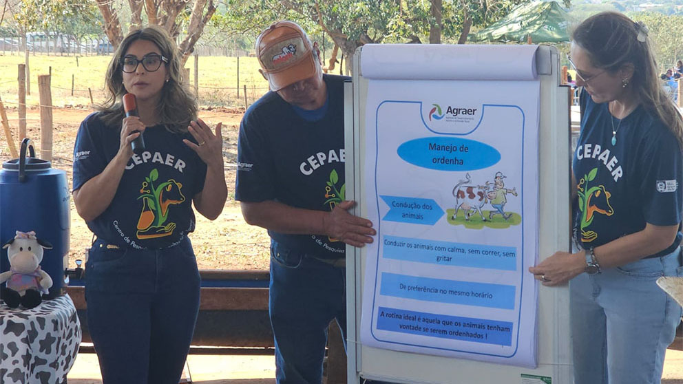 Campo Grande: II Dia de Campo do Leite será realizado nesta sexta no Cepaer Campo Grande: II Dia de Campo do Leite será realizado nesta sexta no Cepaer