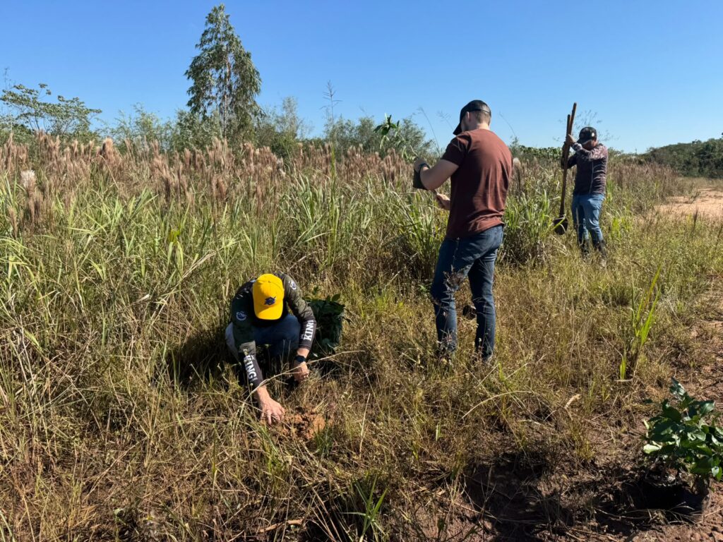 Plantio de mudas às margens do Rio Iguatemi é realizado em Paranhos Plantio de mudas às margens do Rio Iguatemi é realizado em Paranhos
