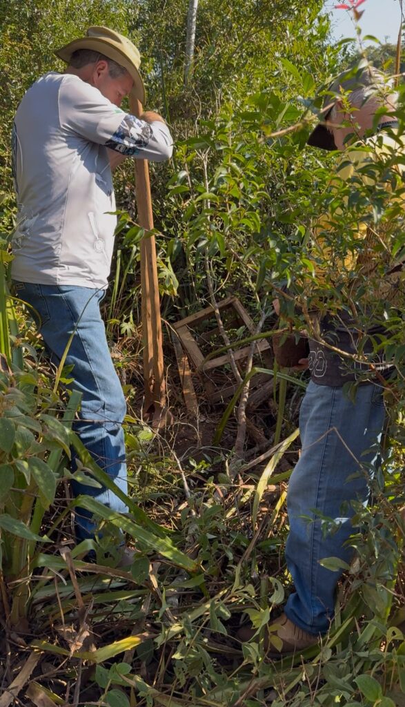 Plantio de mudas às margens do Rio Iguatemi é realizado em Paranhos Plantio de mudas às margens do Rio Iguatemi é realizado em Paranhos